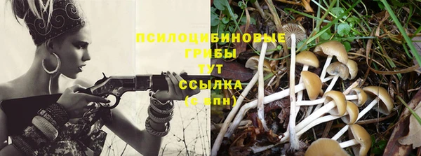 ALPHA-PVP Абинск